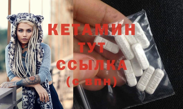стаф Коряжма