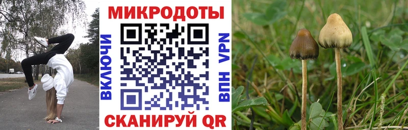 Псилоцибиновые грибы Cubensis  Купить закладки  Красавино 