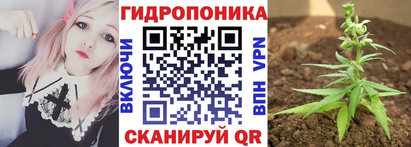 Шишки марихуана Amnesia  Купить закладки  Красавино 